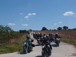 XVIII Concentracion - 2011